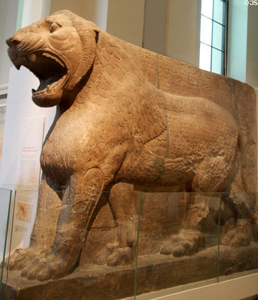 Assyrian colossal guardian lion (c865-860 BCE) guarding doorway of Temple of ishtar from Nimrud at British Museum. London, United Kingdom.