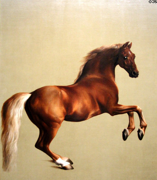 Life-size painting of horse Whistlejacket (c1762) by George Stubbs at National Gallery. London, United Kingdom.
