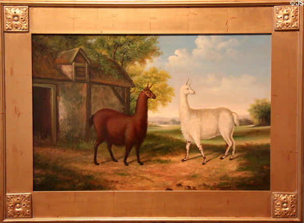 Pastoral scene with two llamas painting (20thC) by R. Gerges of Peru or Bolivia at Tucson Museum of Art. Tucson, AZ.