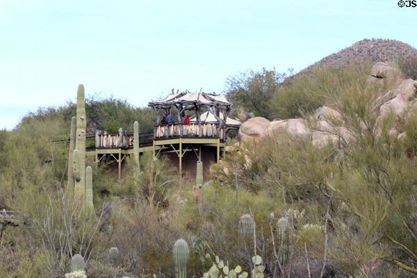 Observation platform at Sonoran Desert Museum. Tucson, AZ.