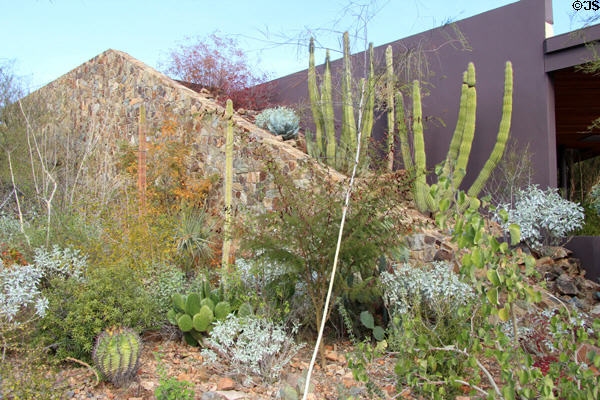 Architecture merges with desert at Sonoran Desert Museum. Tucson, AZ.