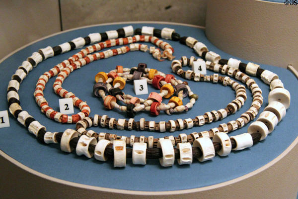Seri (Comcáac) native necklaces of fish vertebrae & beads(1930-60s) from Northwest Mexico at Arizona State Museum. Tucson, AZ.