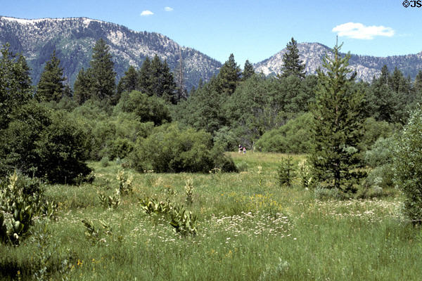 Mountain-ringed meadow at Lake Tahoe. CA.