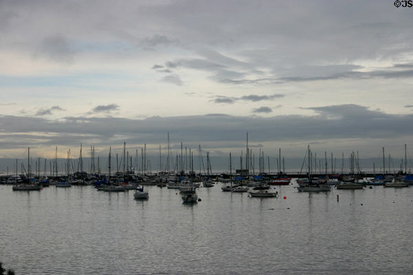 Sailboats anchored off fisherman's wharf. Monterey, CA.