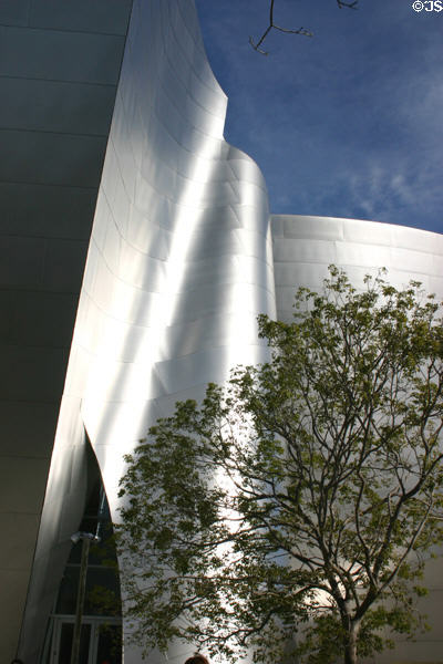 Ripple in surface of Disney Concert Hall. Los Angeles, CA.