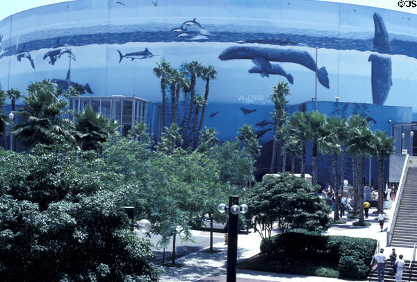 Long Beach Arena, I had always heard that the Wyland mural …