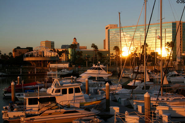 Hyatt & marina craft at sunset. Long Beach, CA.