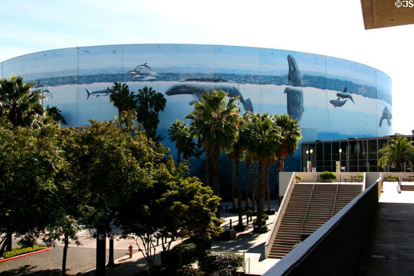 Painted whales & dolphins decorate Long Beach Arena. Long Beach, CA.