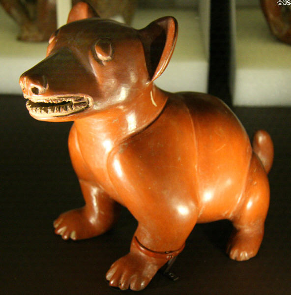 Mexican Colima-culture ceramic dog effigy (200 BCE-500) at LA County Natural History Museum. Los Angeles, CA.