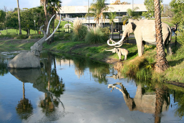 Sculpted mastodons stand in La Brea Tar Pits, site of archeological discoveries. Los Angeles, CA.
