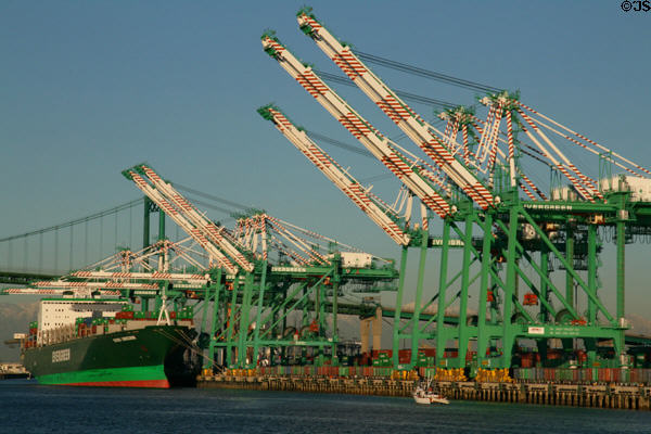 Container port cranes. San Pedro, CA.