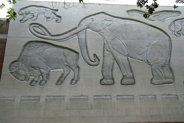 Carved relief of saber tooth tiger, bison & mastodon on facade of Hancock Foundation building at USC. Los Angeles, CA.