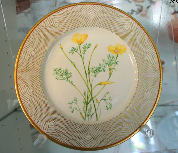 Dinner plate with California Golden Poppy from White House china of Lyndon Johnson at Nixon Library. Yorba Linda, CA.