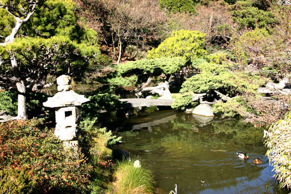 Pond of Japanese garden in Henry E. Huntington Gardens. San Marino, CA.