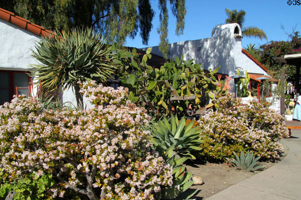 Cactus garden in Old Town. San Diego, CA.
