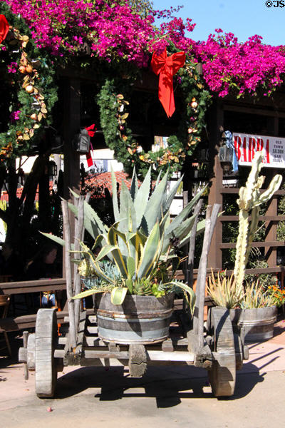 Succulents on wagon in Old Town. San Diego, CA.