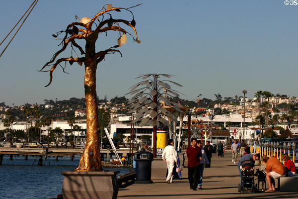 Urban Trees display along harbor front promenade. San Diego, CA.