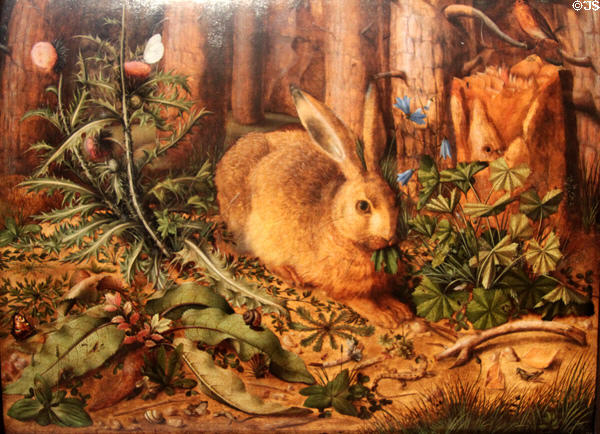 Hare in the Forest painting (c1585) by Hans Hoffmann at J. Paul Getty Museum Center. Malibu, CA.