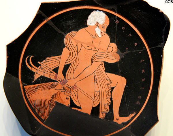 Greek terracotta red-figure wine cup with man dragging sacrificial goat with purple ribbons (c510-500 BCE) from Athens at Getty Museum Villa. Malibu, CA.