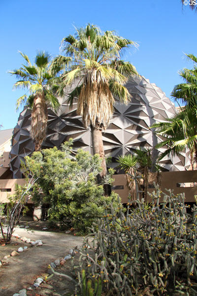 Cactus & palm trees at San Bernardino County Museum. Redlands, CA.