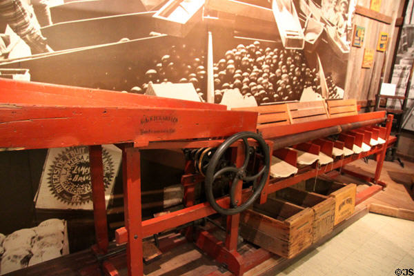 Early orange sorting machine at Riverside Museum. Riverside, CA.