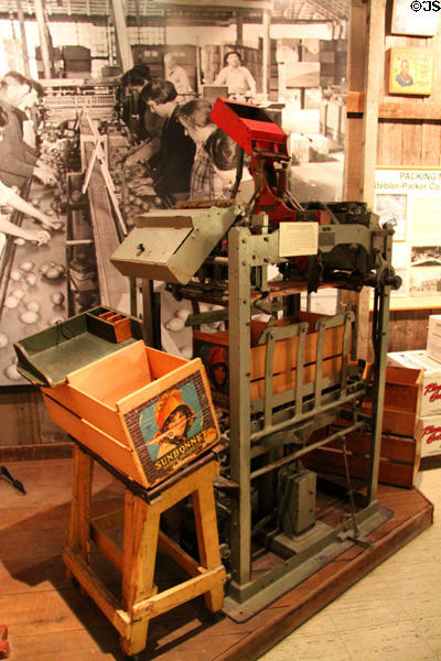 Paxton Junior Lidding Machine with Acme Flat Strapper machines (c1936) used for crating citrus produce at Riverside Museum. Riverside, CA.