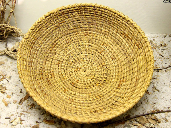 Cahuilla basket leaching tray (c1900) used to prepare acorn flour at Riverside Museum. Riverside, CA.