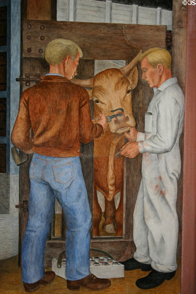 Inspecting beef mural by Ray Bertrand (1934) in Coit Tower. San Francisco, CA.