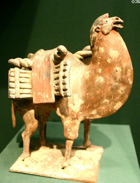 China: Six dynasty earthenware Bactrian camel (500-50) in Asian Art Museum. San Francisco, CA.