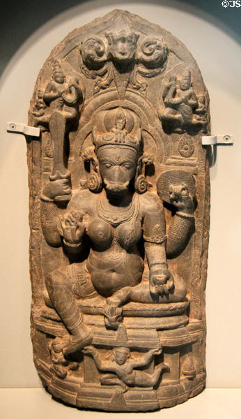 Varahi, wife of Hindu deity Vishnu form of boar sculpture (1000-1100) from Bihar, India at Asian Art Museum. San Francisco, CA.