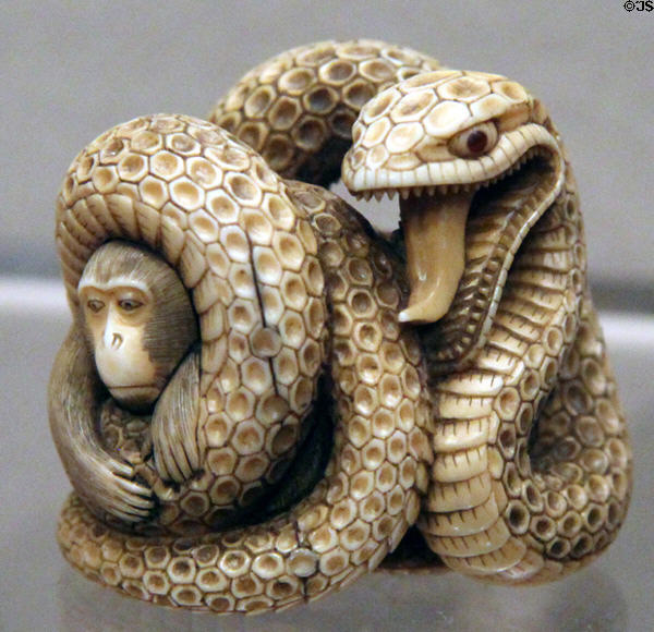 Netsuke of monkey in coils of snake (c1800-1900) from Japan at Asian Art Museum. San Francisco, CA.