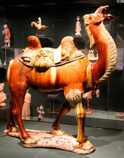 Glazed earthenware camel (c690-750) from China at Asian Art Museum. San Francisco, CA.