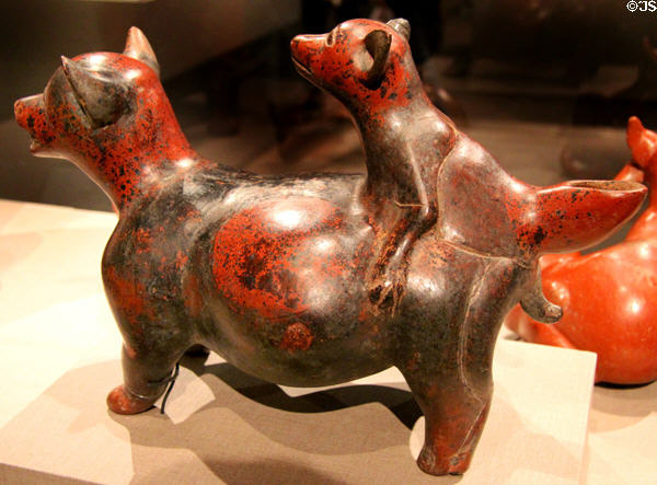 Colima earthenware mating dogs (300 BCE-300 CE) from West Mexico at de Young Museum. San Francisco, CA.