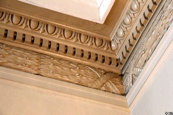 Parlor ceiling surround at Haas-Lilienthal House. San Francisco, CA.
