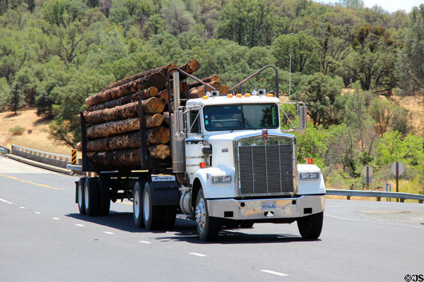 Logging truck traveling along HW 49. Coulterville, CA.