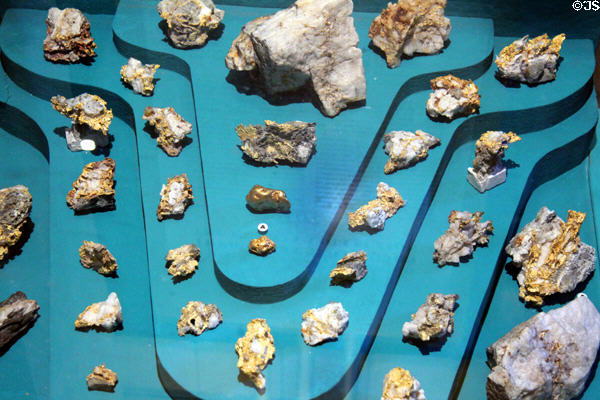 Tuolumne County Gold nugget collection at Tuolumne County Museum. Sonora, CA.