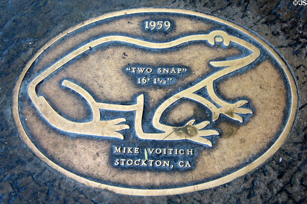 Jumping Frog sidewalk plaque for "Two Snap" (1959) (16' 1.5"). Angels Camp, CA.