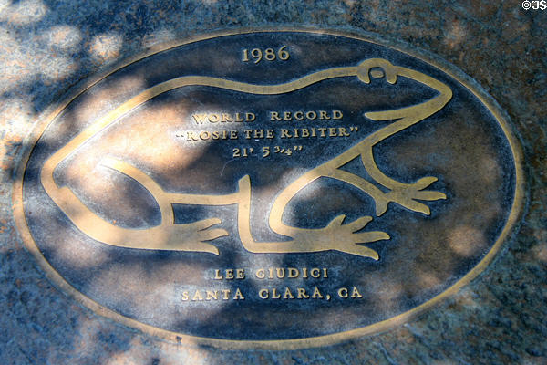 Jumping Frog sidewalk plaque for "Rosie The Ribiter" (1986) jumped world record (21' 5.75"). Angels Camp, CA.
