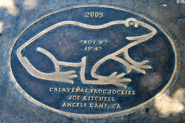 Jumping Frog sidewalk plaque for "Roy W" (2005) (19' 4"). Angels Camp, CA.