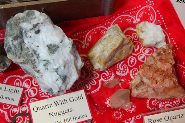 Samples of rose quartz & quartz with gold nuggets mined in Calaveras County at Red Barn Museum. San Andreas, CA.