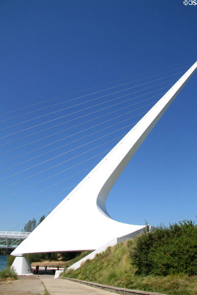 Spire & cables of Calatrava's Sundial Bridge over nature park. Redding, CA.