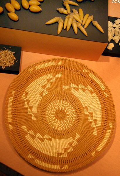 Native basket flat tray acorn meal flour sifter at Siskiyou County Museum?. Yreka, CA.
