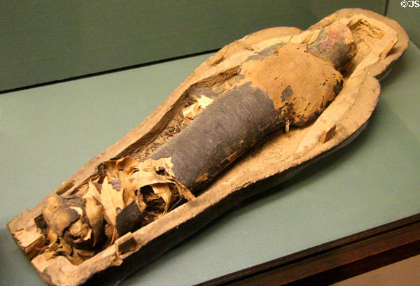 Corn mummy with corn seeds (Late Period - c664-332 BCE) at Rosicrucian Egyptian Museum. San Jose, CA.