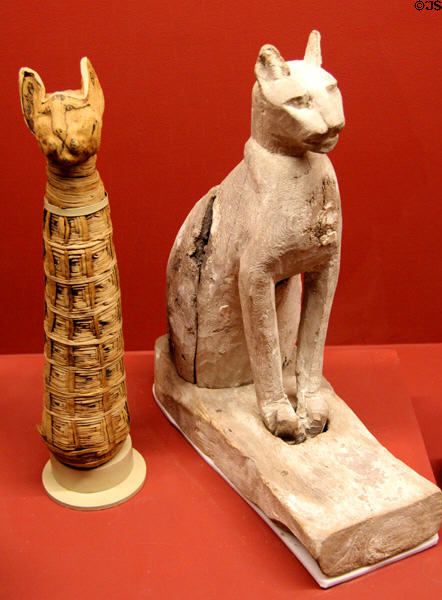 Mummified cat & cat coffin (Late Period - c664-332 BCE) at Rosicrucian Egyptian Museum. San Jose, CA.