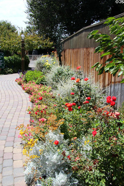 Border flower garden at Winchester House. San Jose, CA.