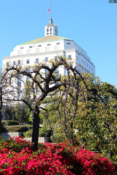 Garden at Oakland Museum of California with Alameda County Courthouse beyond. Oakland, CA.