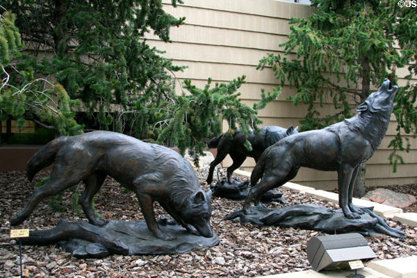 Wolf Pack sculpture (2005) by Veryl Goodnight at Leanin' Tree Museum. Boulder, CO.