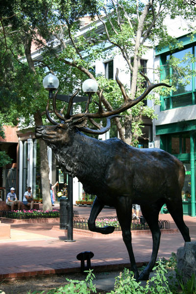Bronze elk sculpture on Pearl Street Mall. Boulder, CO.