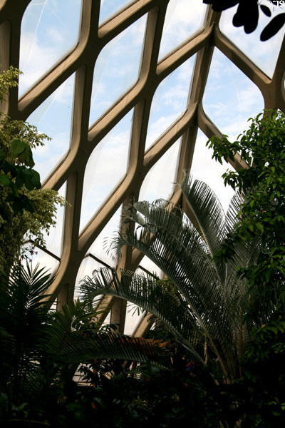 Structural window design of Boettcher Conservatory at Denver Botanic Gardens. Denver, CO.
