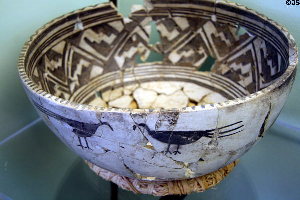 Mesa Verde Puebloan pottery bowl painted with birds from classic period III at Mesa Verde Museum. CO.